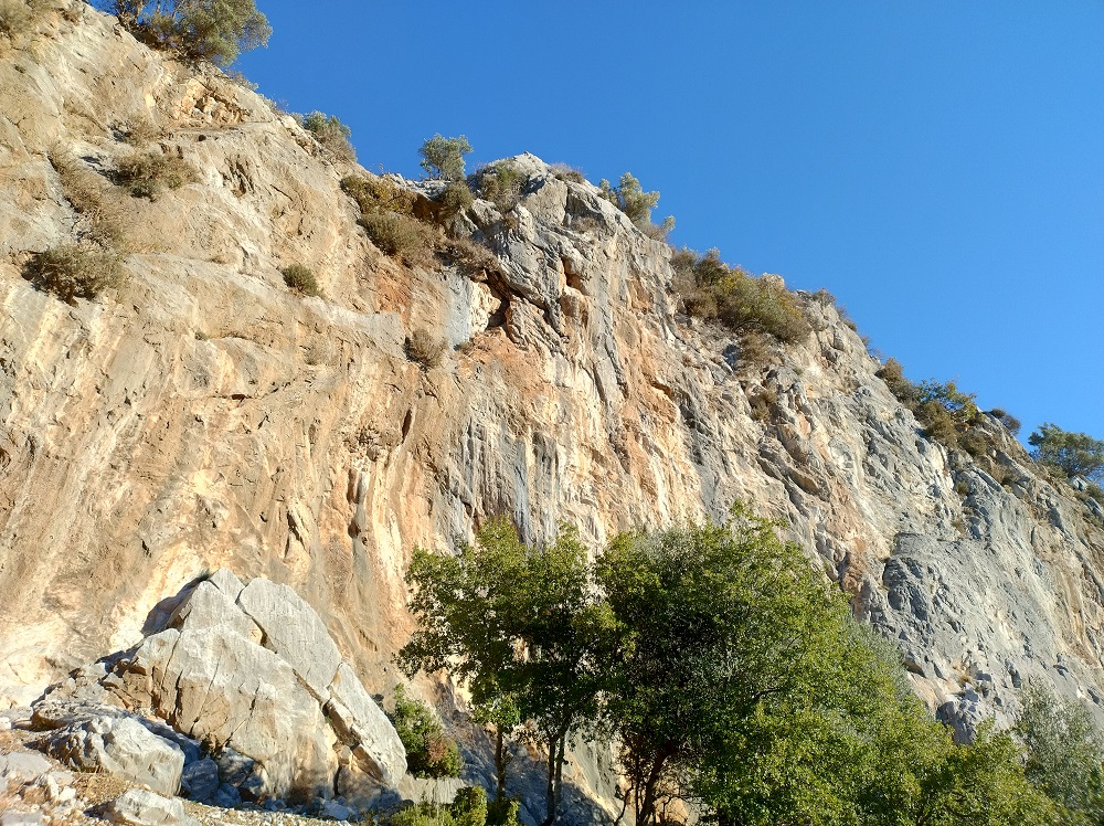 IMG_20241126_093011088_HDR